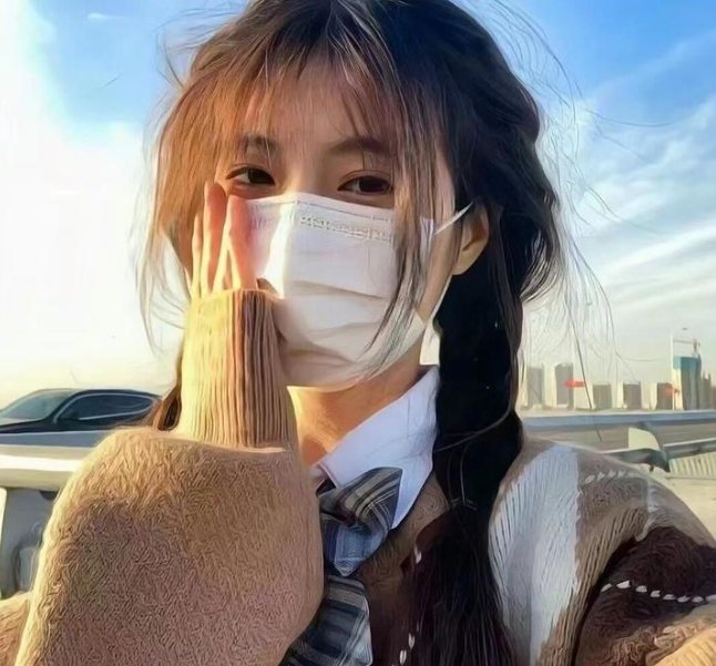叶问外传：张天志国语